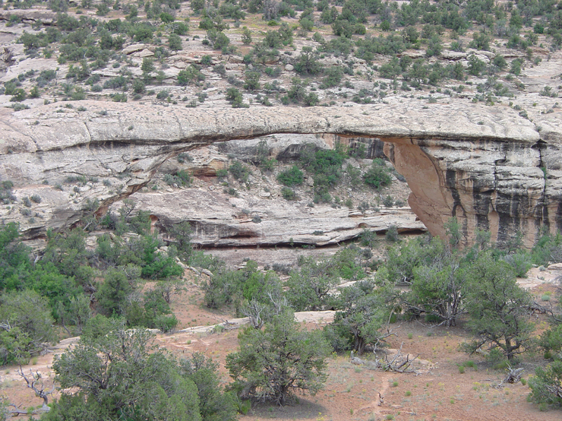 Natural Bridges National Monument