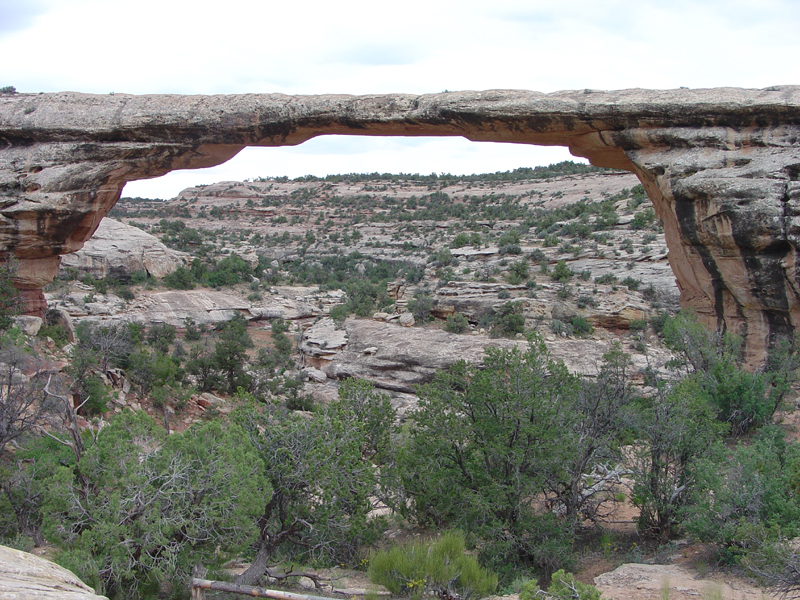 Natural Bridges National Monument