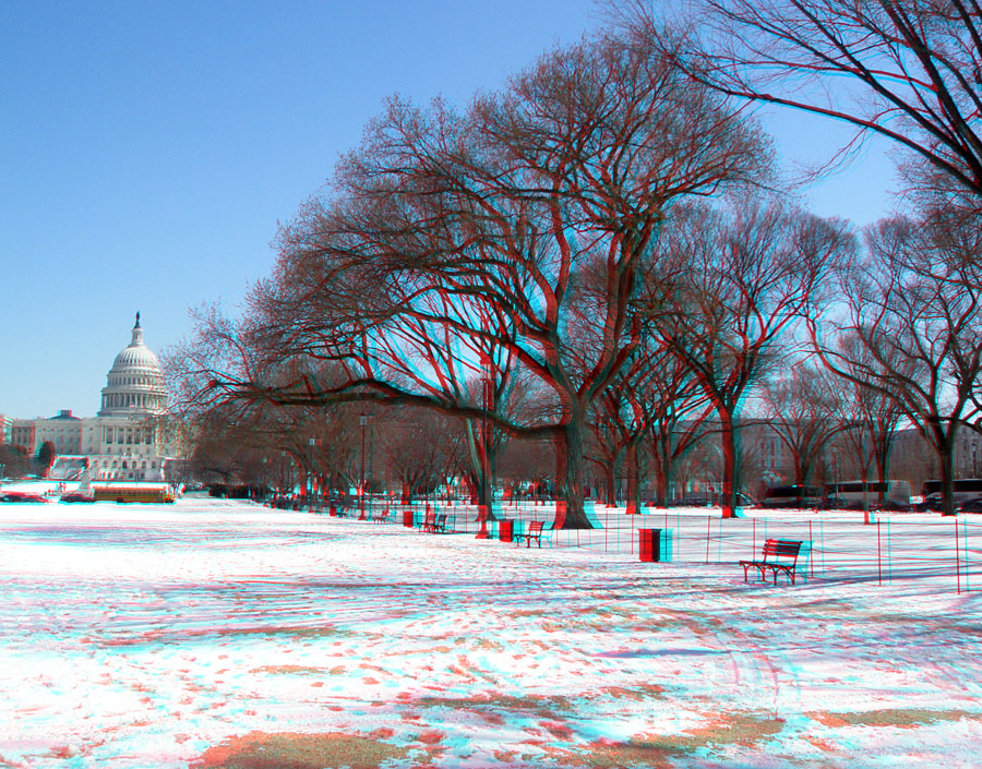 View of the U.S. Capitol Building and vicinity