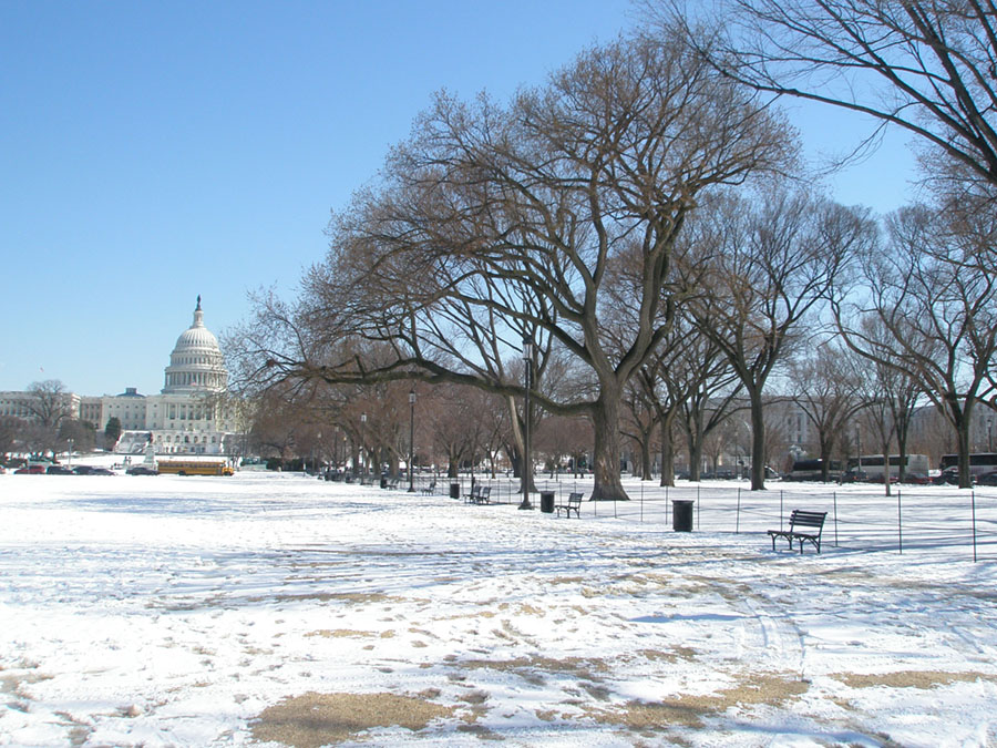 View of the U.S. Capitol Building and vicinity