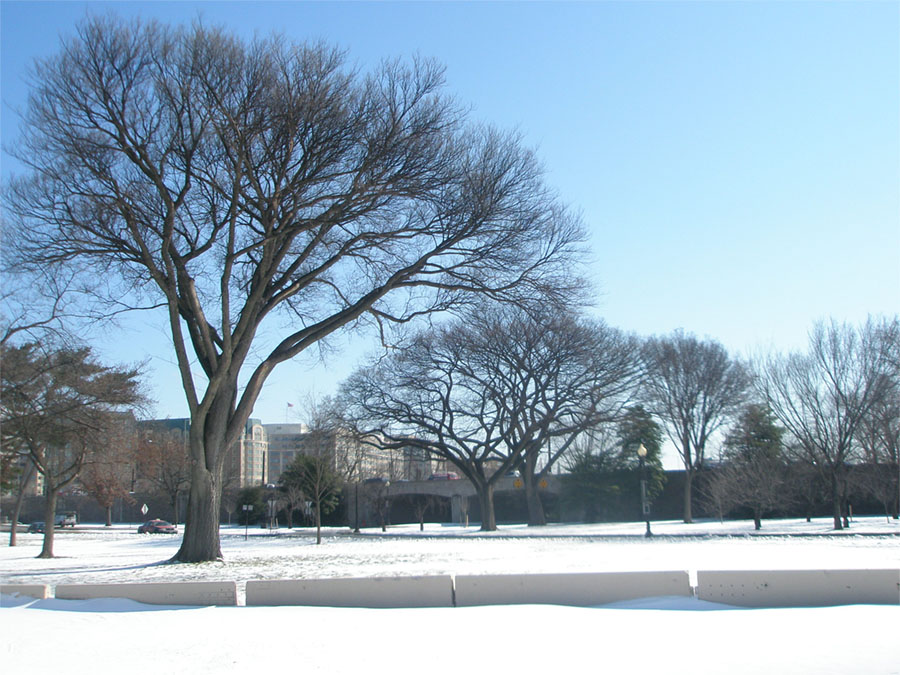 The Jefferson Memorial