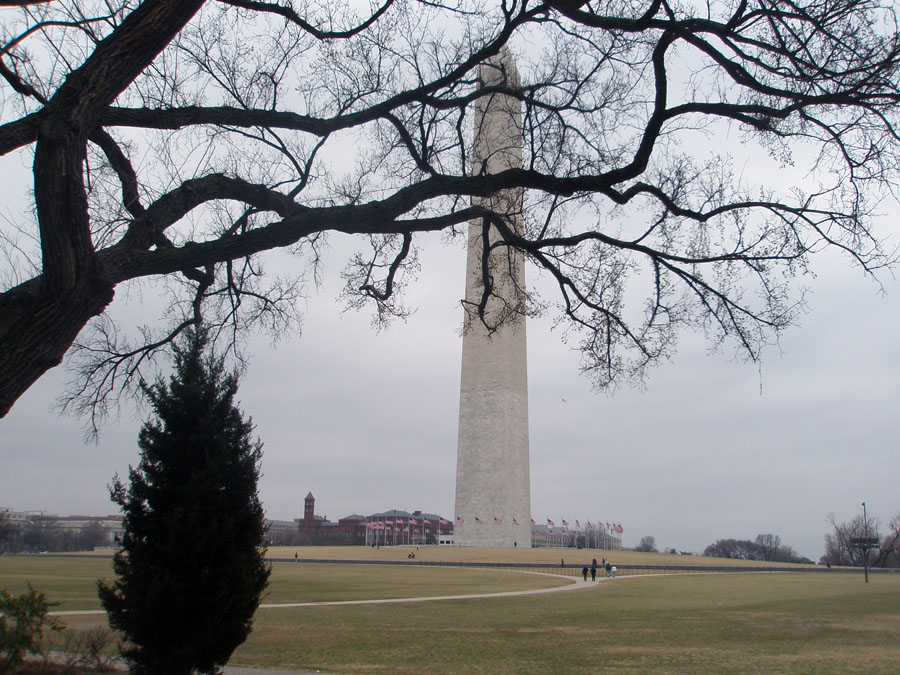 View of the Washington Monument and vicinity