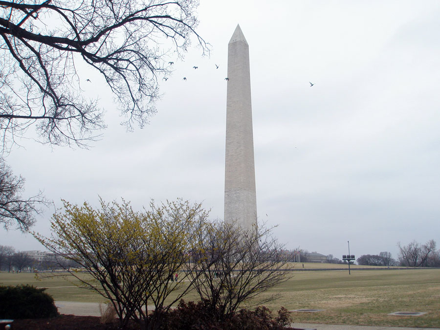 View of the Washington Monument and vicinity