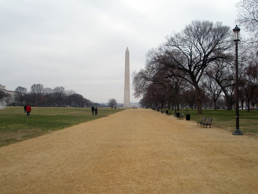 View of the Washington Monument and vicinity