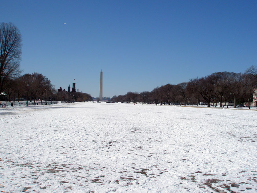 View of the Washington Monument and vicinity