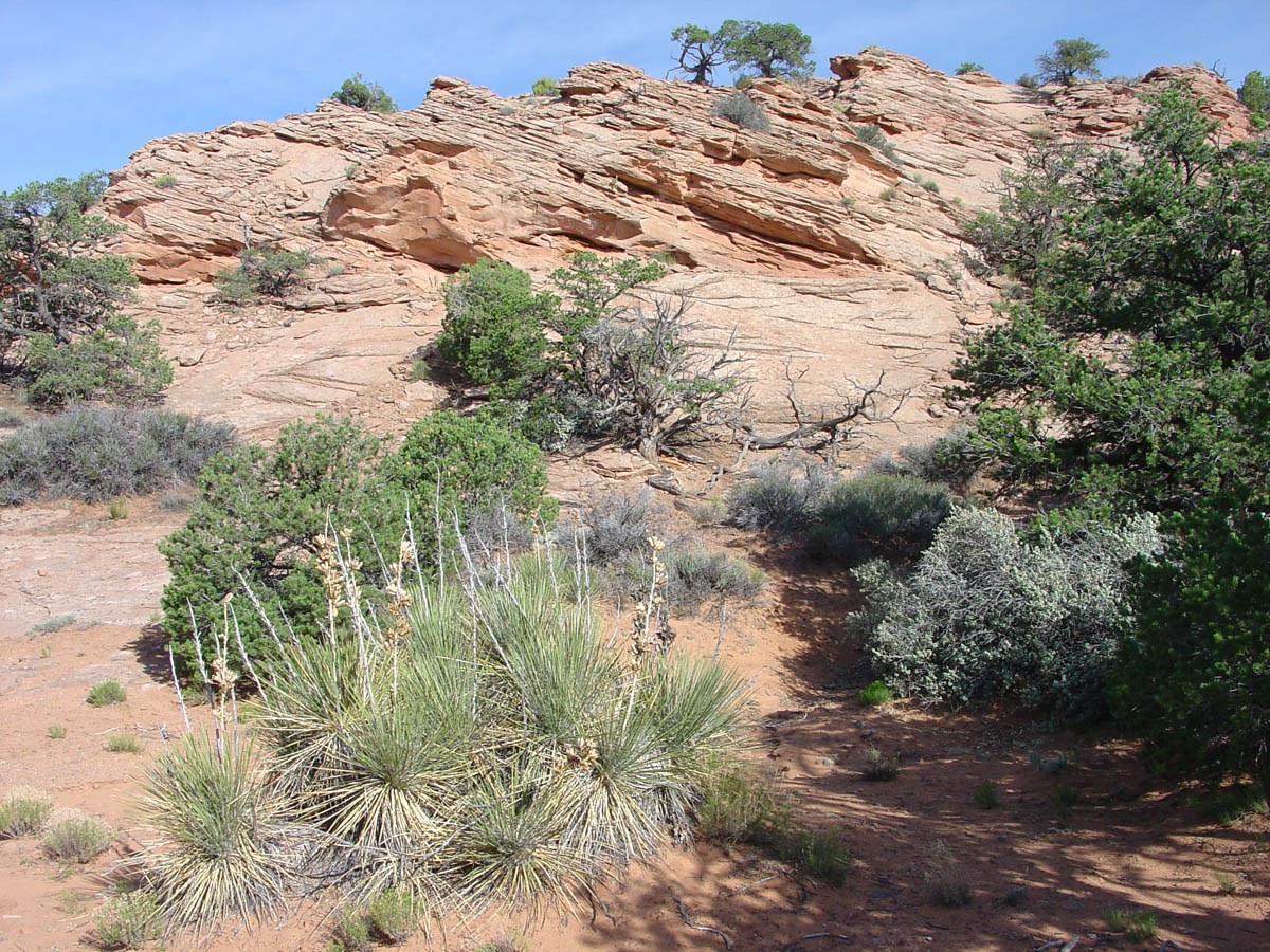 Navajo National Monument