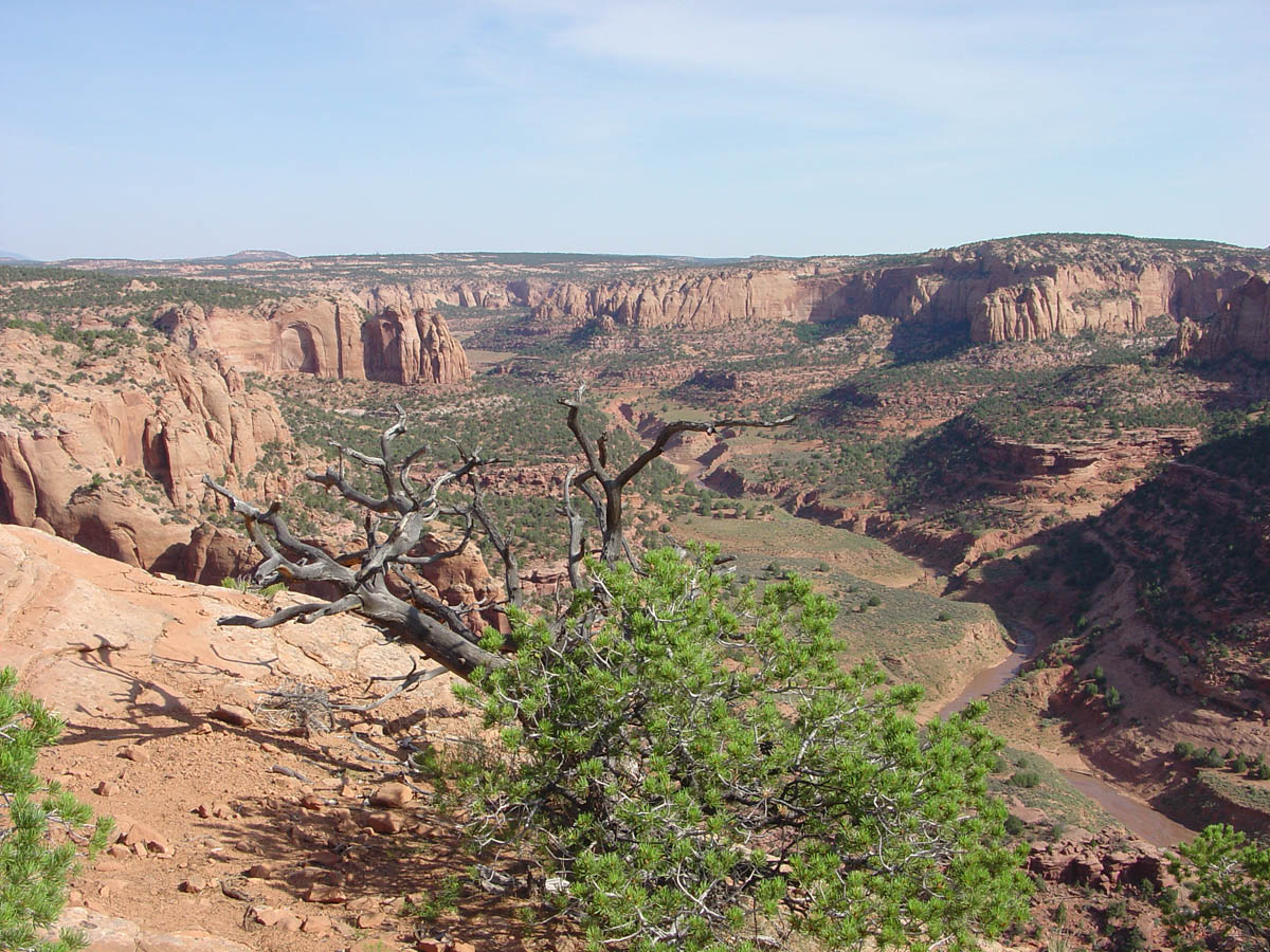 Navajo National Monument