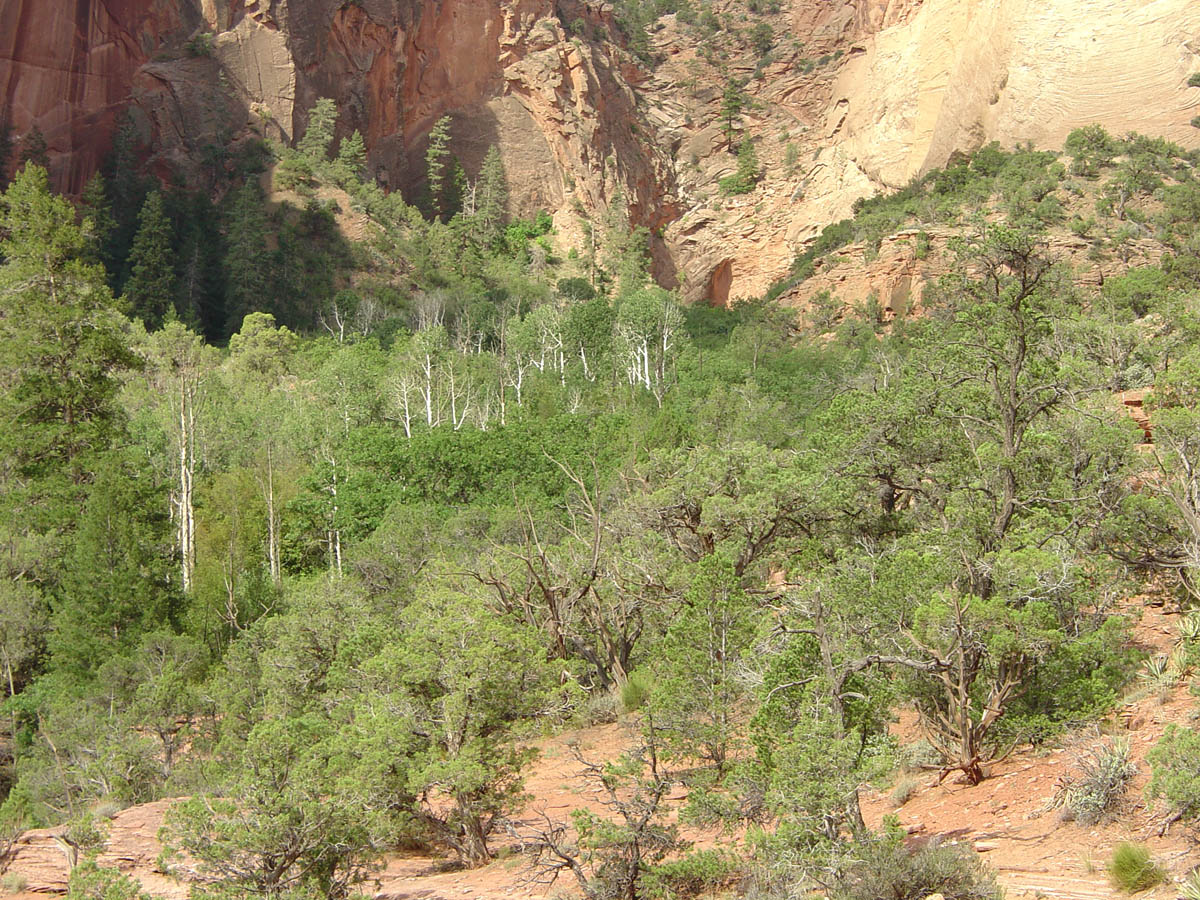 Navajo National Monument