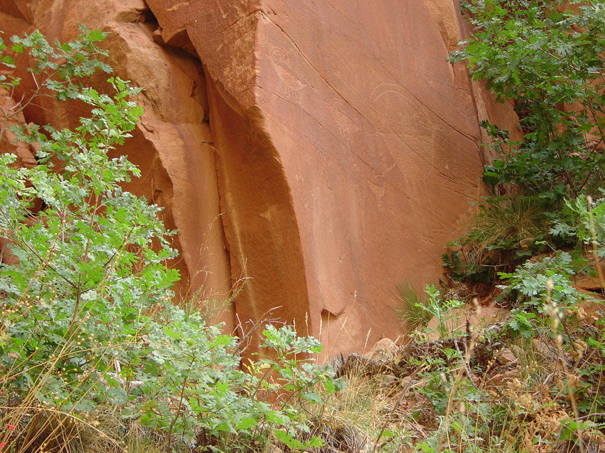 Navajo National Monument