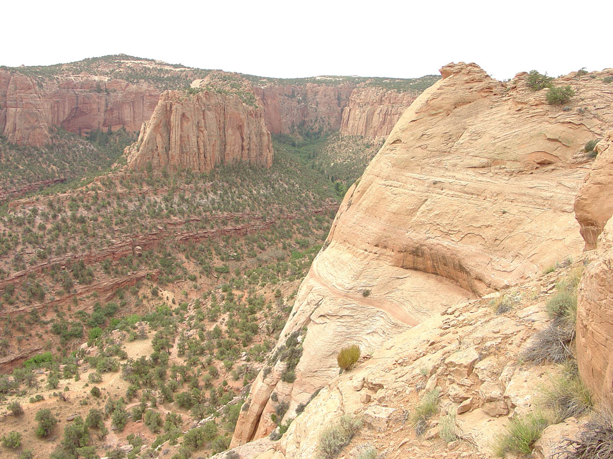 Navajo National Monument