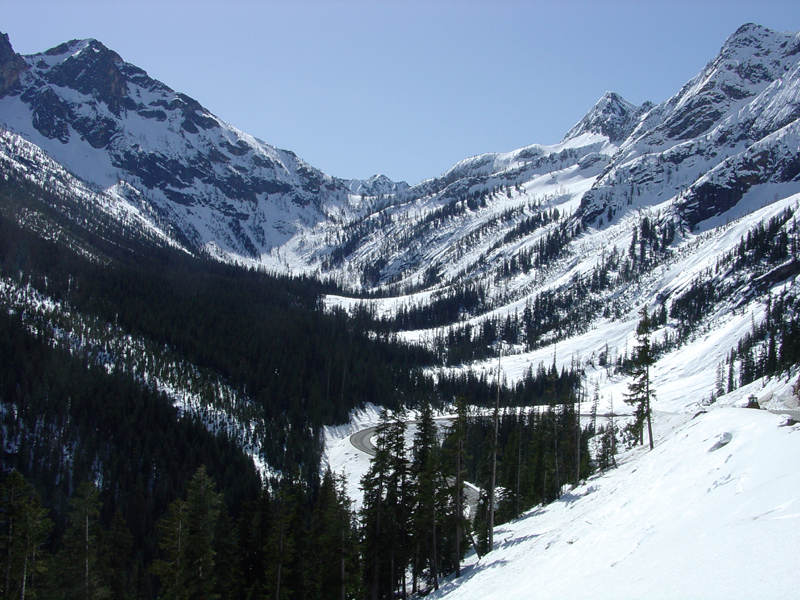 Avalanche shutes in valley east of Early Winter Spires