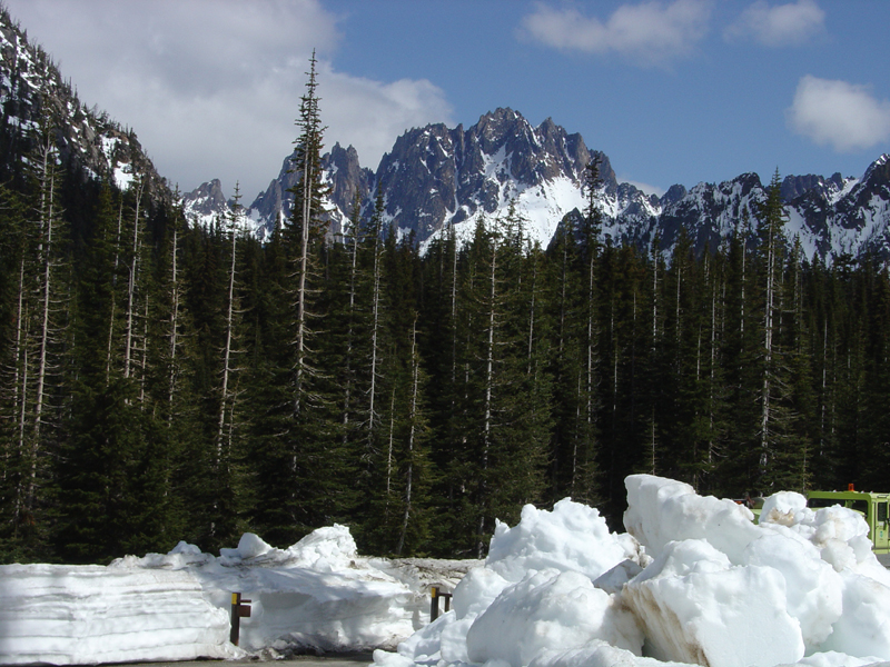 View east near Rainy Pass