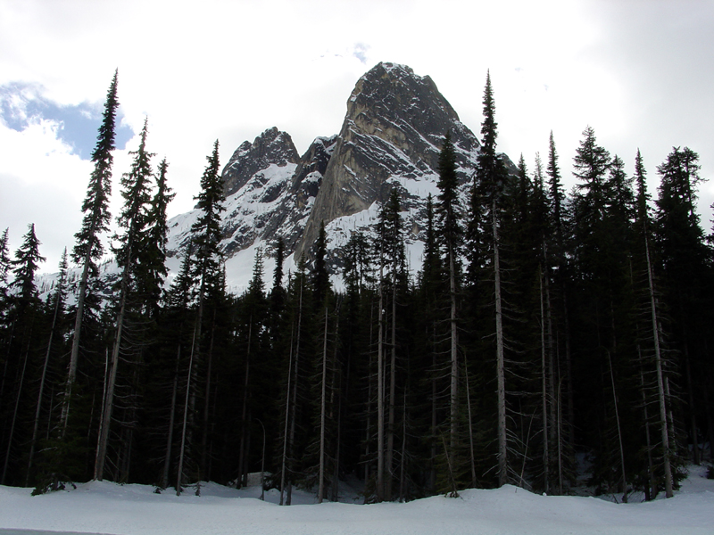 View south near Rainy Pass