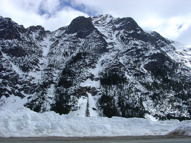 Avalanche shutes on Kangaroo Ridge