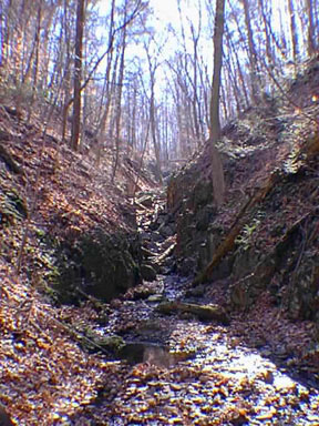 V-shaped ravine in Orange Mountain Basalt, Fetlville, New Jersey