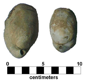 The brachiopod Oleneothyris harlani from the Paleocene Vincentown Formation near New Egypt, New Jersey