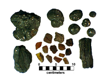 Amber, fossil wood, and marcasite and pyrite from the Sayreville Clay Member of the Late Cretaceous Raritan Formation