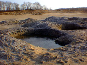 Holes dug by amber collectors in Cretaceous Magothy Formation, Sayreville, New Jersey. The area is now developed with homes.
