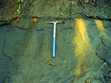Disconformity between Late Cretaceous Navesink and Wenonah Formations, Big Brook, New Jersey