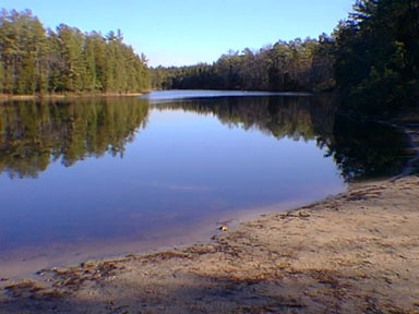 Pakin Pond, an abandoned cranberry bog, Lebanon State Park, New Jersey