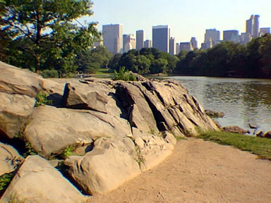 Manhattan schist outcrop in Central Park with view of midtown skyscrapers to the south.