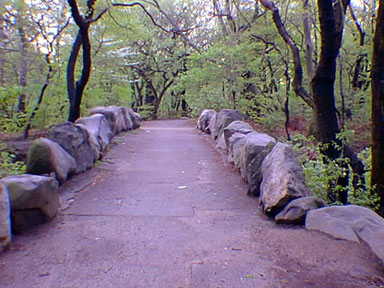 The Ravine bridge in Prospect Park, Brooklyn, New York