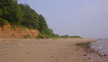 Glacial till in sea cliffs at South Point, Staten Island, New York