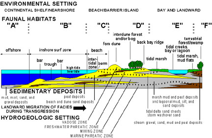 Environmental setting, faunal habitats, sedimentary deposits, and hydrologic setting of a barrier island