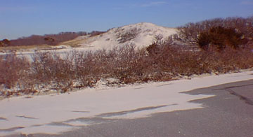Coastal dune migrating into a parking lot, Island Beach State Park