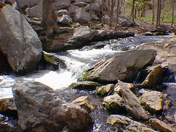 Granitic gneiss along stream in Wawayanda State Park, New Jersey
