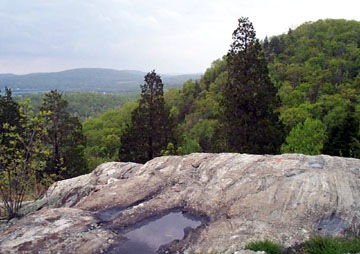 Glaciated gneiss outcrops in Jenny Jump State Park, New Jersey