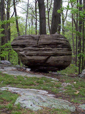 Glacial erratic of Cambrian sandstone in Jenny Jump State Park, New Jersey