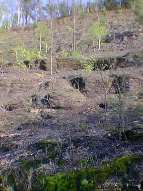 Shale and sandstones in outcrops along Route 209, Kingston, New York