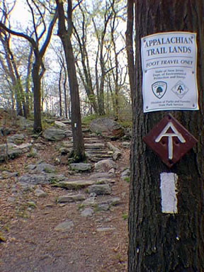 The Appalachian Trail on Kittatiny Mountain, Stokes State Forest, New Jersey