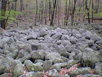 A periglacial boulder field on Kittatiny Mountian, Delaware Water Gap National Recreation Area