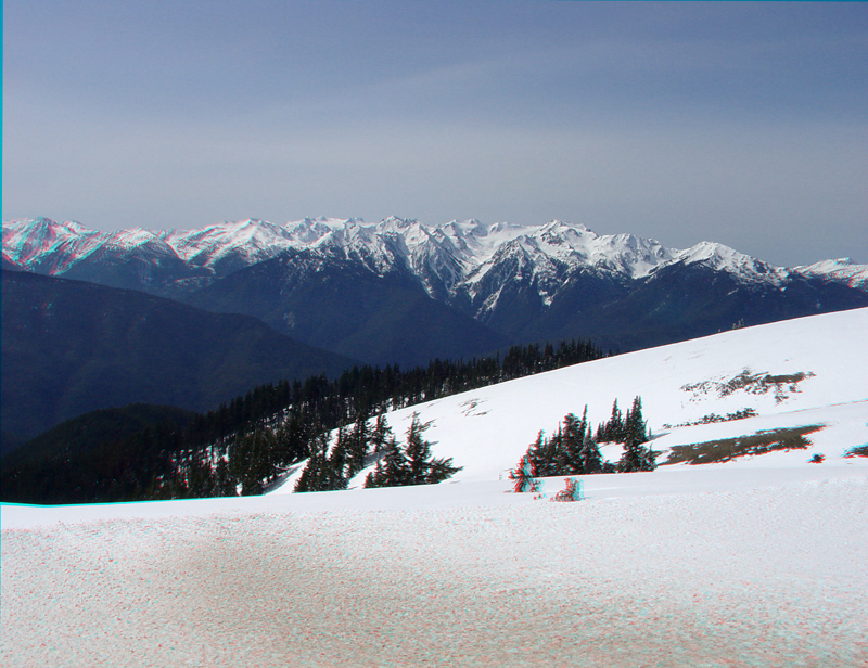 Hurricane Ridge