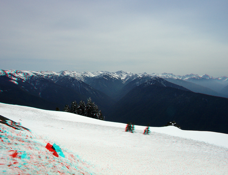 Hurricane Ridge