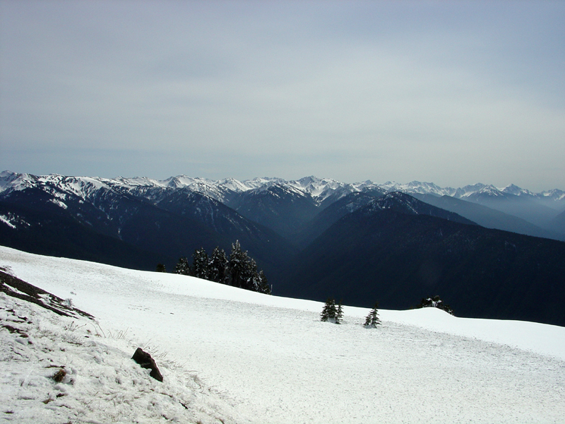 Hurricane Ridge