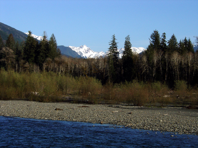 Hoh River with Mount Olympus in distance