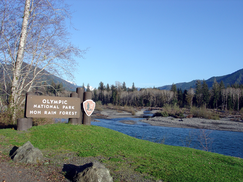 National Park sign at Hoh Rain Forest