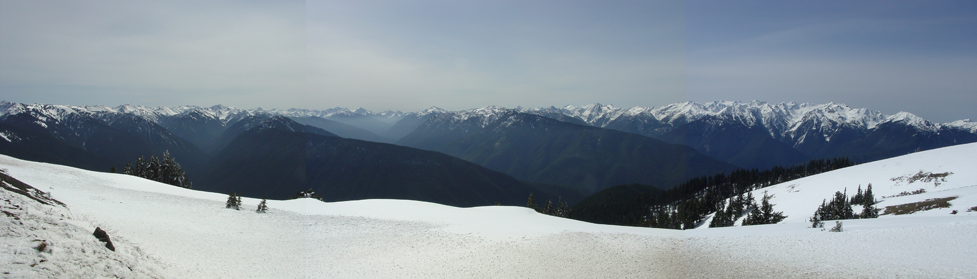 Panorama view from Hurricane Ridge