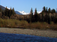Hoh River and Mt. Olympus