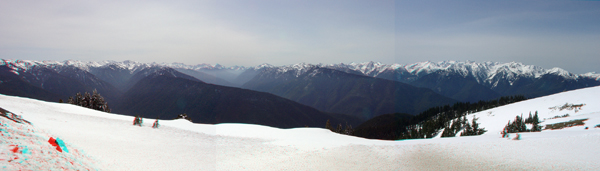 South-facing panorama view toward the Olympic Highlands plateau from Hurricane Ridge