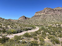 View from near picnic area along Ajo Mountains Drive of volcanic rock layers exposed in the cliffs of the Diablo Mountains.