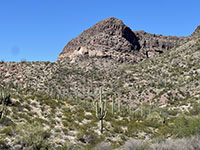 Zoomed-in view from near picnic area along Ajo Mountains Drive of volcanic rock layers exposed in the cliffs of the Diablo Mountains.