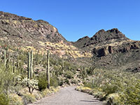 View of the layered volcanic rocks exposed in the Diablo Mountains from along Ajo Mountain Drive.