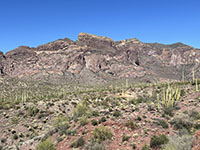 View looking east from an  overlook along Ajo Mountain Drive of the highland valley and cliffs south of Arch Canyon.