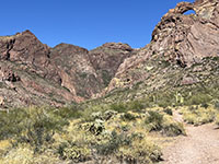 View of Arch Canyon from near the trailhead parking for Arch Canyon along the Ajo Mountain Drive.