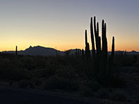 Zoomed view of the pre-dawn landscape east of the Twin Peaks Campground in Organ Pipe Cactus National Monument.