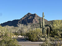 View of Pinkley Peak north of the Twin Peaks Campground.